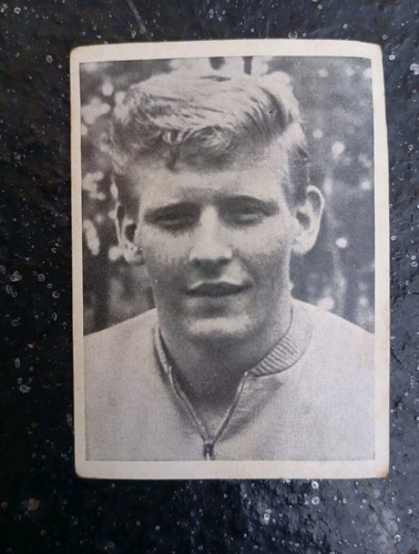 1958 sammelbild wm - ws,