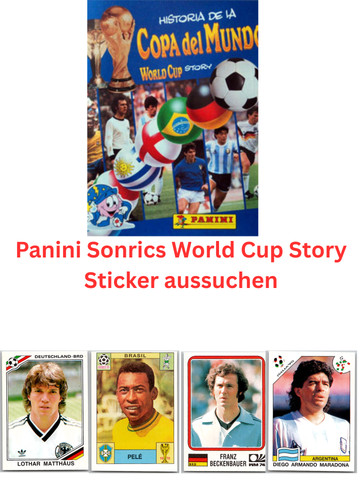 Panini sonrics world - panini, story