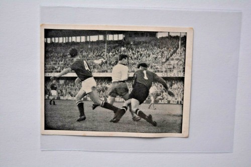 WS-Fußball-Weltmeisterschaft